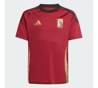 Belgium 24 Home Fan Jersey Kids
