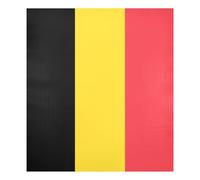 Belgium Flag Magnetic Dishwasher Covers Clean Dirty Decor Kitchen Dishwasher Cover Panel 23 x 26 Inch