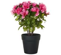 Artificial Plant NOVELLA 36 cm Pink