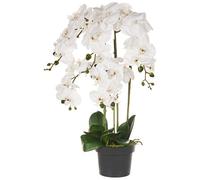 Artificial Plant ORCHID 65 cm White