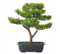 Artificial Plant PINE 37 cm Green
