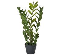 Beliani Artificial Plant Zamiifolia 76 Cm Green