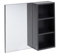 Bathroom Wall Mounted Mirror Cabinet JOINVILLE 60 cm Black