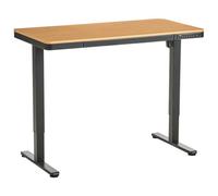 Electric Adjustable Standing Desk PENLY Black/ Light Brown 120 cm 60 cm with USB Port