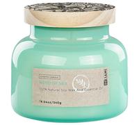 Scented Candle DELIGHT BLISS Soy Wax Fresh Notes