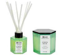 Scented Candle with Fragrance Reed Diffuser CLASSY TINT Soy Wax Fresh Notes