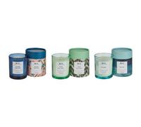 Beliani Set Of 3 Scented Candles Colorful Barrel Soy Wax Fresh Notes Floral Notes