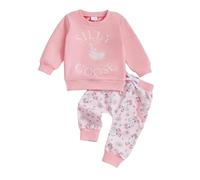 BeliBacca Fall Baby Girl Two Pieces Clothes Set Silly Goose Embroidery Long Sleeve Pullover Elastic Goose Floral Pants Set 2pcs Infant Toddler Winter Outfits (Pink, 0-6 Months)