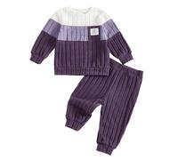 BeliBacca Toddler Baby Boy Fall Winter Warm Outfits Splicing Color Long Sleeve Sweatshirt Pullover Elastic Jogger Long Pants Set 2pcs Infant Boy Clothes Spring (PURPLE, 3-6 Months)