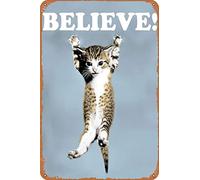 Believe Cat,Hang in There Cat Metal Tin Sign - Perfect Funny Motivational Poster For Home or Office 12x8 Inch