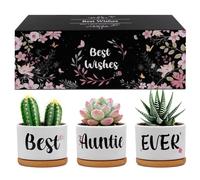 Belillpipi Auntie Birthday Gifts, Unique Best Aunty Ever Succulent Planter Pots for Auntie Birthday, Gifts for Aunty from Niece Nephew, for Aunt