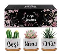 Belillpipi Gifts for Granny, Gran Birthday Gift nana -Succulent Planters Best Granny Ever- Gifts for Gran on Her Birthday, Best Nana Ever Succulent Pots for Grandma (Nana)