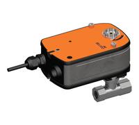 Belimo Characterized Valve Rp1/2 Kvs0.63 24VAC/DC Fail-Safe 150s 2-10V 4Nm IP54 R2015-P63-S1/LRF24-SR