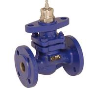 Belimo Globe Valve Flange DN15 Kvs4 Cast Iron PTFE 15mm Stroke PN16 H615S