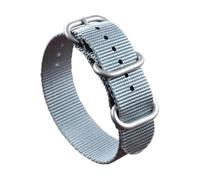 Belivceng Durable Single-Layer Nylon Watch Strap - Replacement Band 18mm to 28mm for Men and Women,Gray Steel Buckle,20mm