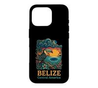 Belize Central America Toucan Sunset Blue Hole Case for iPhone 16 Pro