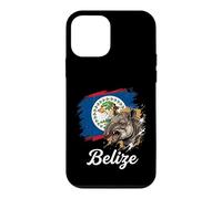 Belize Flag Tapir National Animal Design Case for iPhone 12 mini