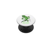 Belize Green Iguana Tropical Lizard on Branch PopSockets Adhesive PopGrip