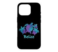 Belize Souvenir Mandala Sea Turtles Blue Purple Case for iPhone 16 Pro