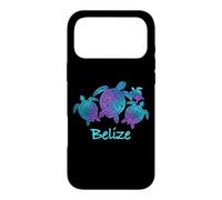 Belize Souvenir Mandala Sea Turtles Blue Purple Case for iPhone 17 Pro Max
