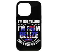Belizean Pride & Belizean Heritage, Hispanic Belize Flag Case for iPhone 13 Pro