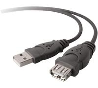 Belkin 1.8M USB A to USB A Cable Black - F3U134R1.8M
