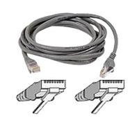 Belkin 100-Foot RJ45 CAT 5e Snagless Molded Patch Cable (Grey)