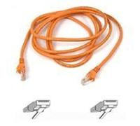 Belkin Cable,Cat5e,Utp,Rj45m/M,1,Org,Patch