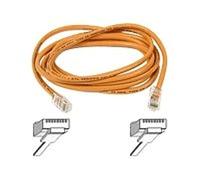Belkin Cat5e, 25 ft, 1 x RJ-45, 1 x RJ-45, Orange 7.62 m Orange - Network cable (25FT, 1 x RJ-45, 1 x RJ-45, Orange, 7.62 M, Rj-45, RJ-45, Orange)