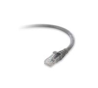 Belkin F2CP003-14GY-LS 10G 4.3 m RJ-45 Male to RJ-45 Male CAT 6a Patch Cable - Grey