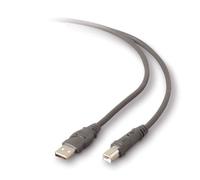 Belkin Pro Series Hi-Speed USB 2.0 Device Cable 3m