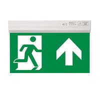 BELL 09066V2 2W Spectrum 6 in 1 Emergency Exit Blade Including Up Legend - Select Self Test or Manual Emergency Mode