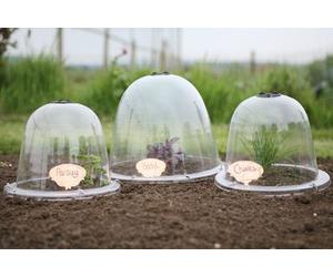 Bell Cloches x 2 King Size Victorian Garden Crop Plant Veg Frost Protection