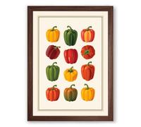 Bell Pepper Study Botanical Framed Wall Art Print A2 (59.4×42cm) Walnut, Wall Decor for Living Room, Bedroom, Office & Home, Ready to Hang, Art Gift