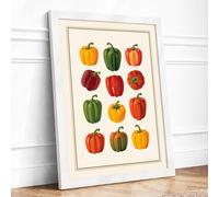 Bell Pepper Study Botanical Framed Wall Art Print A2 White