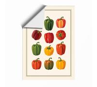 Bell Pepper Study Botanical Unframed Wall Art Print A3 (42×29.7cm), Wall Decor for Living Room, Bedroom, Office & Home, Art Gift