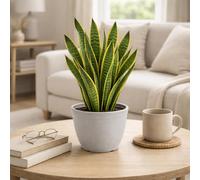Bell Plant Pot Deluxe, Light Grey, 20cm