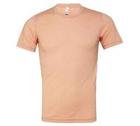 Bella + Canvas Adults Unisex Tri-Blend T-Shirt PC3870
