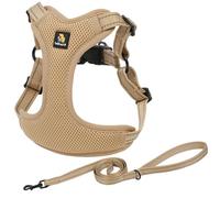 BELLA & PAL Dog Harness and Leash Set, Adjustable Step-in Puppy Harness, No-Pull Vest for XS/Small/Medium Dog, Breathable Air Mesh, Reflective Strip, Secure Buckle Closure, Dual D-Rings