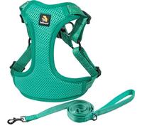 BELLA & PAL Dog Harness and Leash Set, Adjustable Step-in Puppy Harness, No-Pull Vest for XS/Small/Medium Dog, Breathable Air Mesh, Reflective Strip, Secure Hook & Loop, Buckle Closure, Green, XS