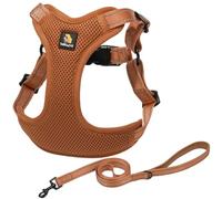 BELLA & PAL Dog Harness and Leash Set, Adjustable Step-in Puppy Harness, No-Pull Vest for XS/Small/Medium Dog, Breathable Air Mesh, Reflective Strip, Secure Hook & Loop, Buckle Closure, Dual D-Rings