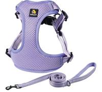 BELLA & PAL Dog Harness and Leash Set, Adjustable Step-in Puppy Harness, No-Pull Vest for XS/Small/Medium Dog, Breathable Air Mesh, Reflective Strip, Secure Hook & Loop, Buckle Closure, Dual D-Rings