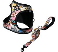 BELLA & PAL Dog Harness and Leash Set, Step-in Puppy Harness, Breathable Air Mesh with Reflective Strips, No Pull Vest for Puppies/Extra Small/Small Dogs, Co-branded Collection x PJai, XXS