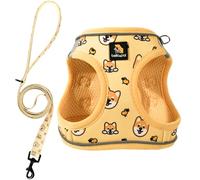 BELLA & PAL Dog Harness and Leash Set, Step-in Puppy Harness, Breathable Air Mesh with Reflective Strips, No Pull Vest for Puppies/Extra Small/Small Dogs, Co-branded Collection x PJai, Yellow, S
