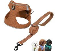 BELLA & PAL Dog Harness and Leash Set, Step-in Puppy Harness, Breathable Air Mesh with Reflective Strips, No Pull Vest for Puppies/Extra Small/Small Dogs, Mocha, L