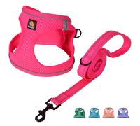 BELLA & PAL Dog Harness and Leash Set, Step-in Puppy Harness, Breathable Air Mesh with Reflective Strips, No Pull Vest for Puppies/Extra Small/Small Dogs, Hot Pink, XXS