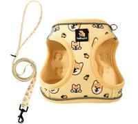 BELLA & PAL Dog Harness and Leash Set, Step-in Puppy Harness, Breathable Air Mesh with Reflective Strips, No Pull Vest for Puppies/Extra Small/Small Dogs, Co-branded Collection x PJai, Yellow, XXS