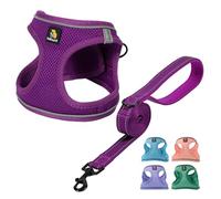BELLA & PAL Dog Harness and Leash Set, Step-in Puppy Harness, Breathable Air Mesh with Reflective Strips, No Pull Vest for Puppies/Extra Small/Small Dogs, Grape Purple, XXS