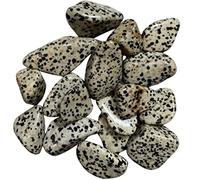BellaMira Dalmatian Jasper Tumblestone Healing Crystal, Single Polished Stone, Healing Crystal for Loyalty, Grounding, Relationships, Let Go of Resentment, Dispel Negative Energy, Dispel Fear