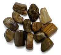 BellaMira Fossilised Jasper Wood Healing Crystal, Single Polished Stone, Healing Crystal for Good Fortunes, Stability, Security, Strength, Longevity, Grounding & Wisdom